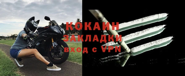 прущие крисы Инта