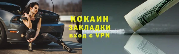 гашик Инсар