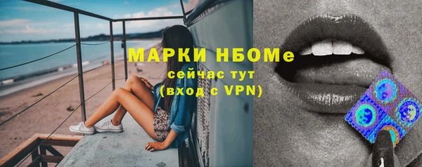 гашик Инсар