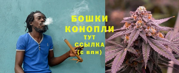МДПВ Иннополис