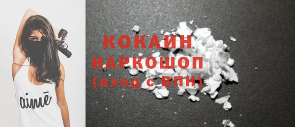 гашик Инсар