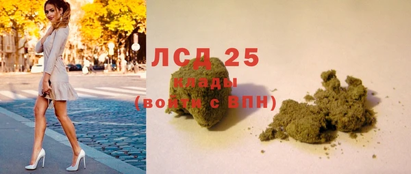 гашик Инсар
