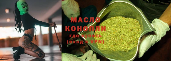 гашик Инсар